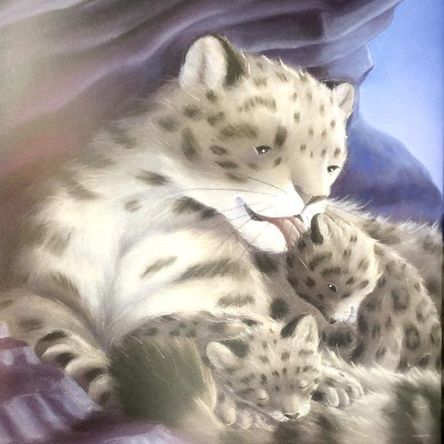 Where Snowflakes Fall