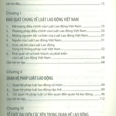 Giáo Trình Luật Lao Động Việt Nam - PGS.TS. Lê Thị Hoài Thu - (bìa mềm)