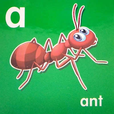 My Brainy Block Books: Baby