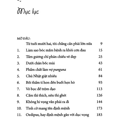 Món Quà Từ Cánh Chim