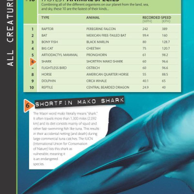 Top 10 of Everything 2018