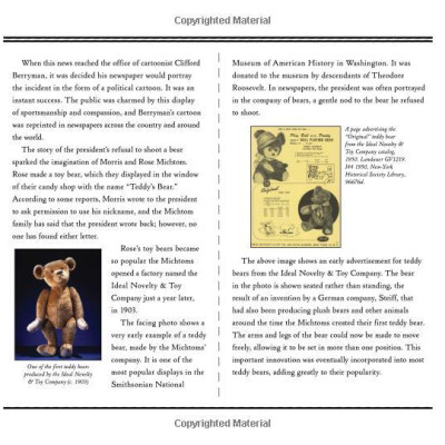 Teddy: The Remarkable Tale of a President, a Cartoonist, a Toymaker and a Bear