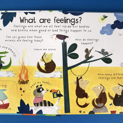 Sách tương tác thiếu nhi tiếng Anh: What are Feelings?