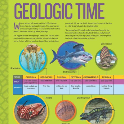 1,000 Facts About Dinosaurs, Fossils, And Prehistoric Life