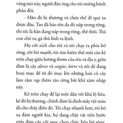 Chuyện Con Chó Tên Là Trung Thành