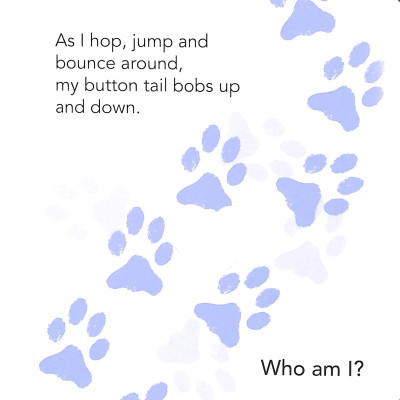 Who Am I? Touch & Feel Flap Book: Pets