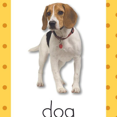 Flash Cards - First Learning Orange (25 Cards)