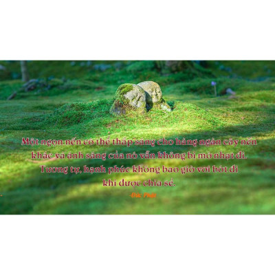 Gieo niềm tin cuộc sống (Tái bản 2021) Bản Quyền