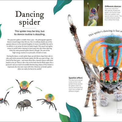 Sách ngoại văn: Weird And Wonderful Nature -Tales Of More Than 100 Unique Animals, Plants, And Phenomena