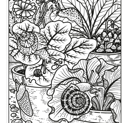 Garden Magic Painting Book