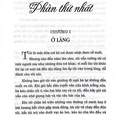Sách - Không Gia Đình - Bìa Cứng (Tái Bản 2025)
