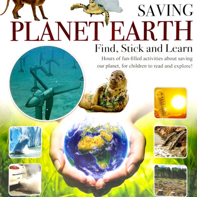 Wonders Of Learning - Sticker Book - Saving Planet Earth