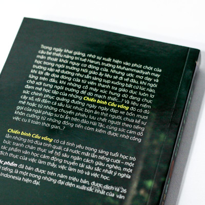 Chiến Binh Cầu Vồng