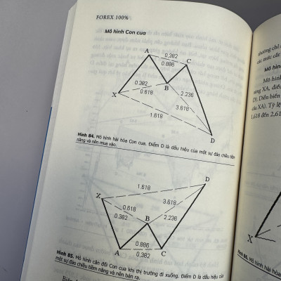 FOREX 100% - HỌC CÁCH KIẾM TIỀN TRÊN THỊ TRƯỜNG - Angel Darazhanov, Miroslav Kozarov, Vasil Banov - Thành Đạt, Phương Lan dịch - Alpha Books - Nhà xuất bản Lao Động Xã Hội.