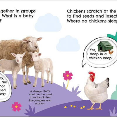 First Facts Farm (Turn-the-Wheel Books)