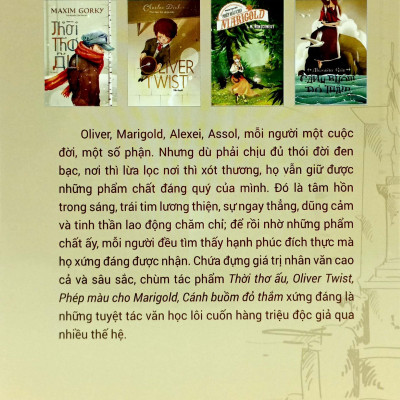 Bộ Sách Những Mảnh Đời Xuôi Ngược (Bộ 4 Cuốn)