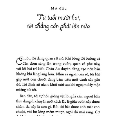 Món Quà Từ Cánh Chim