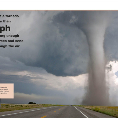 DK Pocket Eyewitness: Science