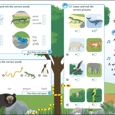 English For Everyone Junior Beginner