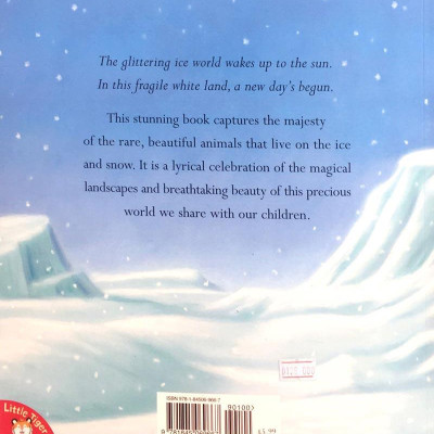 Where Snowflakes Fall