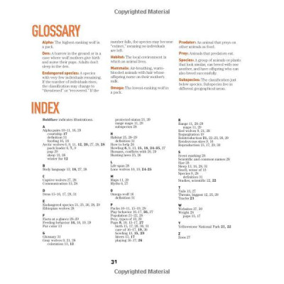 Face To Face With Wolves