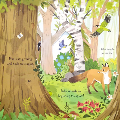 Nature Die-cut Book - Let