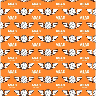 Haikyu!! Magazine 2024 February (Japanese Edition)