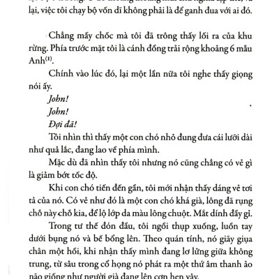 Tôi Vẫn Nghe Tiếng Em Thầm Gọi (Tái Bản 2022)