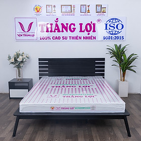 Nệm cao su TL Wonder foam phẳng 