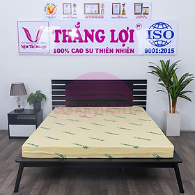 Nệm cao su non TL Tundo 