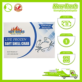 [GIAO NHANH HCM] Cua Lột Myanmar - Túi 1Kg (8-10 con)