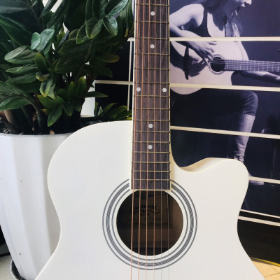 Đàn Guitar Acoustic Caravan Music HS4010WH