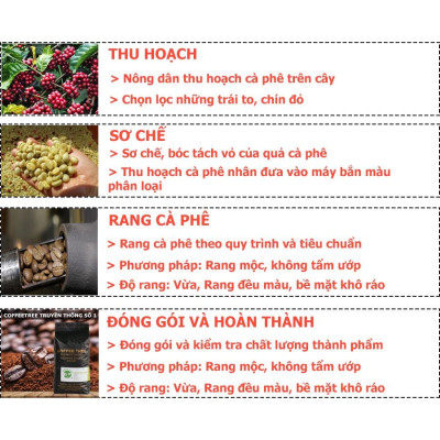 Cà Phê Bột Robusta Buôn Mê Thuột Nguyên Chất 100% Coffee Tree - Hương Thơm Nhẹ - Vị Đắng Vừa - Hậu Vị Ngọt