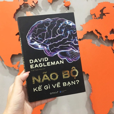 Não Bộ Kể Gì Về Bạn