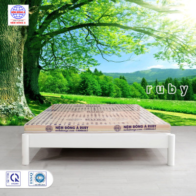 Nệm foam Đông Á Ruby 