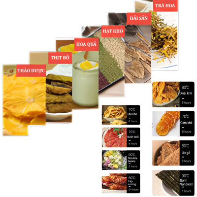 Máy sấy thực phẩm 10 khay chuyên nghiệp dung tích lớn 59 lít thương hiệu Mỹ Septree ST-01 công suất 1000W - Hàng Chính Hãng