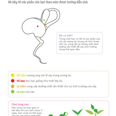 Cuốn Sổ Lớn Montessori - Về Khám Phá Thế Giới (Tái Bản 2023)