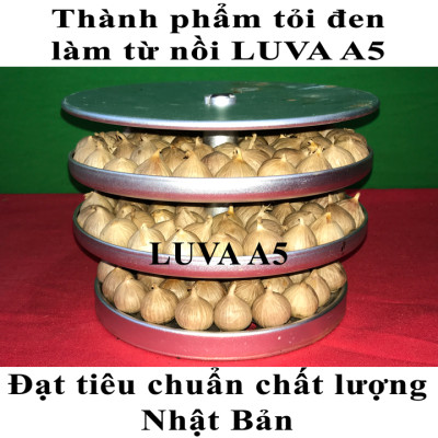 Nồi làm tỏi đen công nghệ Nhật Bản LUVA A5(5L) - Hàng chính hãng