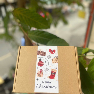 Hộp Giấy Đựng Quà Sinh Nhật, Giáng Sinh