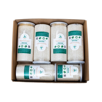 Gạo Đặc Sản Tây Nguyên