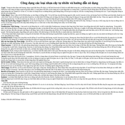 Nhựa cây tự nhiên xông nhà bảo vệ gia chủ Resin incense (Nhựa Palo santo-Copal, Myrrh, Nhũ hương...)