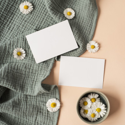 Vải Xô Crepe Màu Trơn 100% Cotton Mềm Mịn, Thấm Hút Tốt | Đa Dạng Màu Sắc | Chuyên Dùng May Chăn Ga Gối Hàng Nhập Khẩu Khổ (3m x 2m45)