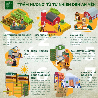 Nhang Trầm Hương Không Tăm Giá Sỉ Yên Loại Thân, Tâm, Tuệ Sạch Tự Nhiên Ít Khói An Toàn Dùng Thiền