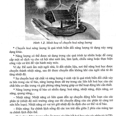 Bồi Dưỡng Học Sinh Giỏi Sinh Học 7 (Dùng Chung Cho Các Bộ SGK Hiện Hành) - HA