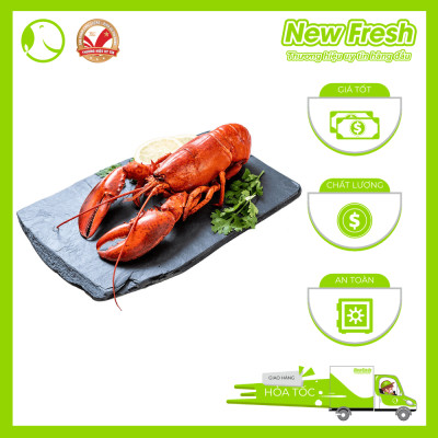 [GIAO NHANH HCM] Tôm Hùm Baby Canada Hấp - 1 Con