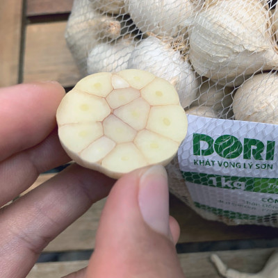 Đặc Sản Quảng Ngãi - Tỏi Lý Sơn Dori - Loại tỏi nhiều tép - Túi lưới 1kg Trồng tại đảo Lý Sơn