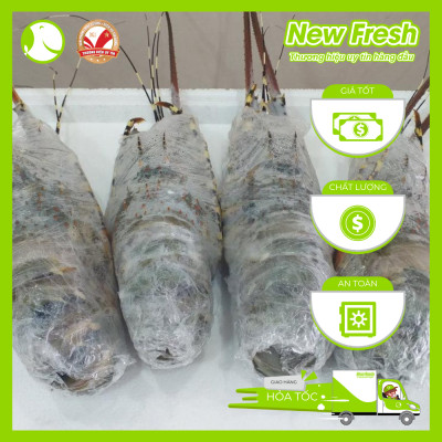 [GIAO NHANH HCM] Tôm Hùm Bông Đông Lạnh - 1 Con 500Gr