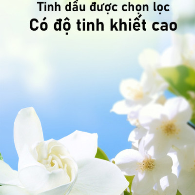 Máy phun sương tinh dầu Rhino H601 tạo ẩm 5 chế độ, tích điện, nhỏ gọn, dán tường - Hàng chính hãng