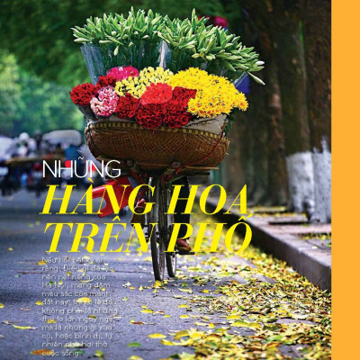 Tạp chí Kiến Trúc và Đời Sống số Xuân Ất Tỵ (Tháng 1&2-2025) _ Hoài niệm-Xanh