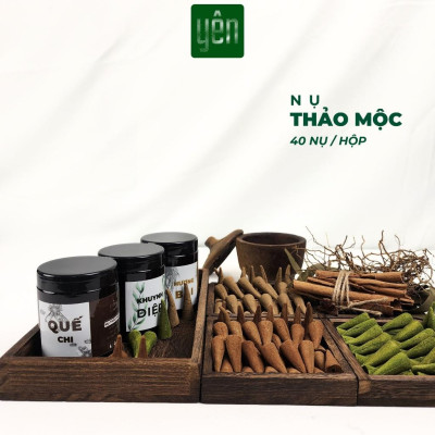 Nhang Nụ Thảo Mộc Mix Quế Khuynh Diệp Hương Bài Sạch Ít Khói Hộp 40 Nụ Yên Tự Nhiên Không Hóa Chất